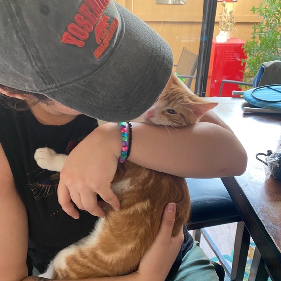 Meet your Posher, Aries - Picture 3 of 9